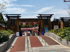 -云南民族村