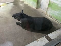 -石家庄市动物园