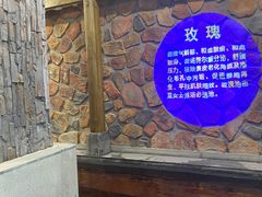 -东方之珠洗浴休闲广场(南开店)
