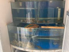 -微微麻辣海鲜(北宁湾店)