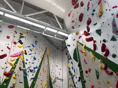 -绿壁虎攀岩基地(Tcar店)