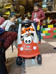 -卡通尼·Safari非洲探索乐园·生日会(金桥国际商业广场店)