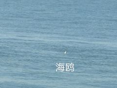 -东疆建设开发纪念公园