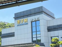 -枣子树·素食餐厅(朱家尖店)