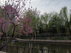 -团结湖公园