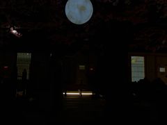 -蓝鲸湾汤泉(包河店)