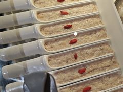 -尚宴牛特鲜自助(太原街万达店)