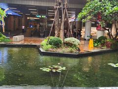 -厦门高崎国际机场-T3航站楼