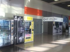 -谢列梅捷沃国际机场