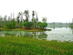 -白鹭湾湿地公园
