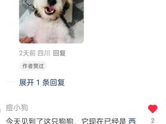 -首开·龙湖成都西宸天街