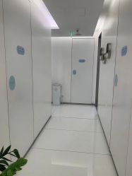 -agge蛋白医美