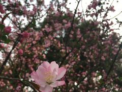 -荆川公园
