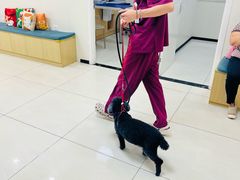 -美联众合动物医院·24h京西诊疗中心