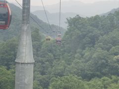 -栾川竹海野生动物园