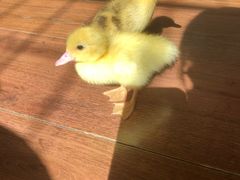 -三旗百汇商品城