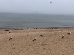 -海驴岛(荣成市)