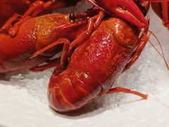 -虹料理·日料放题(悠方店)