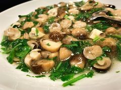 荠菜虾仁双菇-和记小菜(东方店)