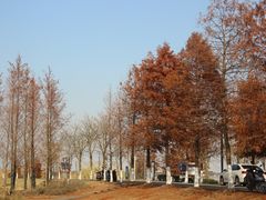 -祝甸砖窑文化馆