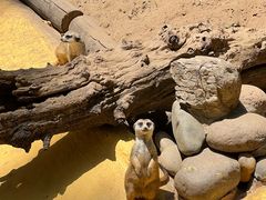 -北京野生动物园