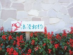 -北京张裕爱斐堡酒庄