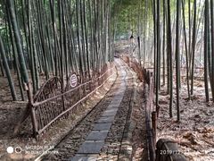 -宝岩生态观光园