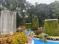 -上海共青森林公园