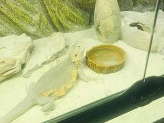 -宠物世家(仲盛世界商城店)