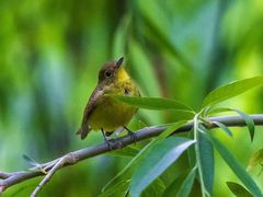 -人民公园(罗湖区)