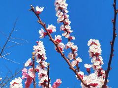 -山东大学(趵突泉校区)