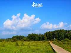 -塞罕坝国家级自然保护区