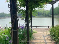 -圩墩遗址公园