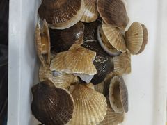 -叶存利海鲜大馅饺子(东戴河止锚湾店)