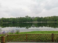 -龙抄手食府(浣花北路店)