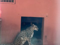 -青藏高原野生动物园