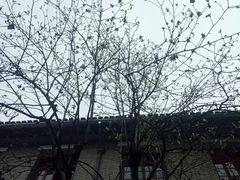 -溪口-滕头旅游景区