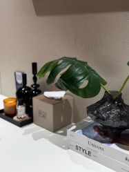 -天津伊美尔医疗整形美容专科医院