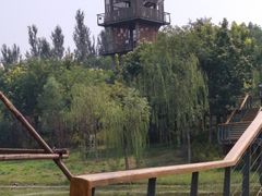 -东郊湿地公园