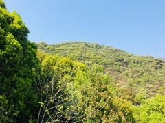 -杭州半山国家森林公园