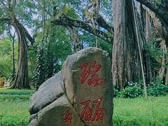 -独树成林