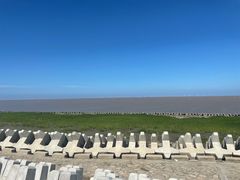 -南汇新城海滩
