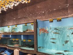 -怀德酒楼·粤菜·海鲜·茶点(宝安国际机场店)