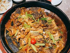 -老板恋上鱼(恒隆广场店)