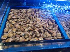 -喜庭海鲜自助(来福士店)