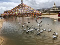-青海湖国家重点风景名胜区