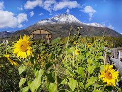 -喀纳斯禾木山庄