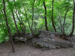 -北京上方山国家森林公园