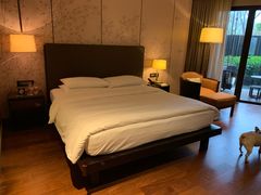 -上海崇明金茂凯悦酒店