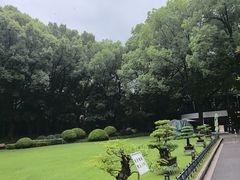 -申粤轩酒楼·三十年粤菜经典(丁香花园店)